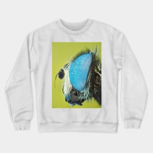 Hoverfly under ultraviolet light microscope Crewneck Sweatshirt